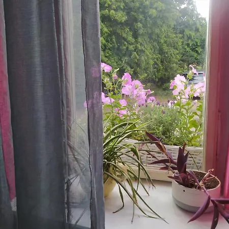 Homestay Vila Lichtenberg *